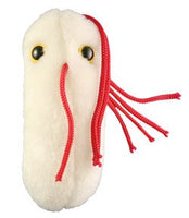 Salmonella / Salmonella typhimurium Pehmeä lelu