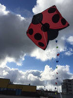 Nyckelpiga DRAKE / CERF-VOLANT Coccinelle / Lady-bird KITE RED