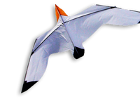 Fiskmås 240*70 KITE  från Dida Kites / SEAGULL 240*70 KITE