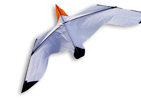 Fiskmås 240*70 KITE  från Dida Kites / SEAGULL 240*70 KITE