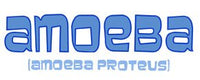 Amoeba Blue - Amoeba proteus - Gossedjur ca. 50x50cm leveä. Yhdysvalloista!