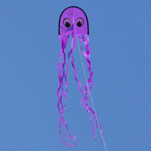 Little Octopus Purple / Magneettinen lohikäärme / Leija