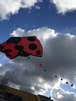 Nyckelpiga DRAKE / CERF-VOLANT Coccinelle / Lady-bird KITE RED