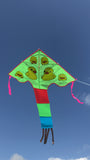 Vihreä (uima) ankan delta-lohikäärme, jossa on häntä useissa iloisissa väreissä - Exclusive Dragon osoitteesta www.Drake.nu
