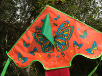 Oranssi-Butterfly Delta Dragon häntällä useissa iloisissa väreissä - Exclusive Dragon osoitteesta www.Drake.nu