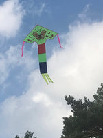 Vihreä-perhonen-delta-lohikäärme, jossa on häntä useissa iloisissa väreissä - Exclusive Dragon osoitteesta www.Drake.nu