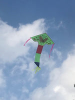 Vihreä-perhonen-delta-lohikäärme, jossa on häntä useissa iloisissa väreissä - Exclusive Dragon osoitteesta www.Drake.nu