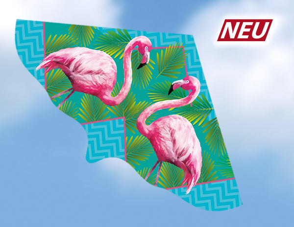 Flamingo Drake / Leija