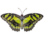 Metalliseinien koristelu Green TigerButterfly, 35cm perhonen. Perhonen seinäkoristelu.