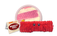 Muscle cell/-Myocyte(mjukisdjur flera storlekar i diameter ) -  GiantMicrobes från USA - flera storlekar