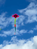 Drakhuvud Rosa deltadrake med svans i flera glada färger - Exklusiv Drake från www.Drake.nu